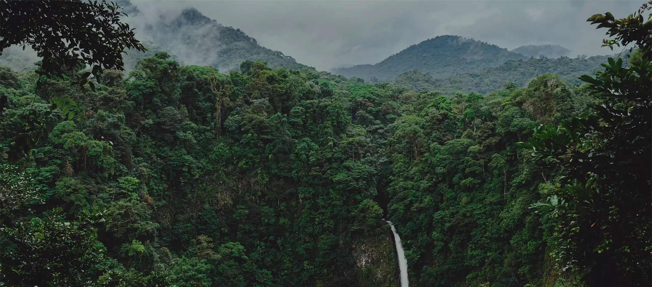 Nosara Biological Reserve