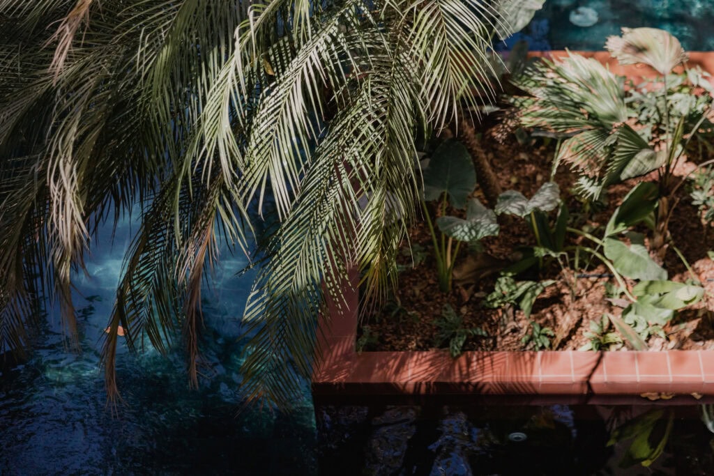 april in nosara costa rica