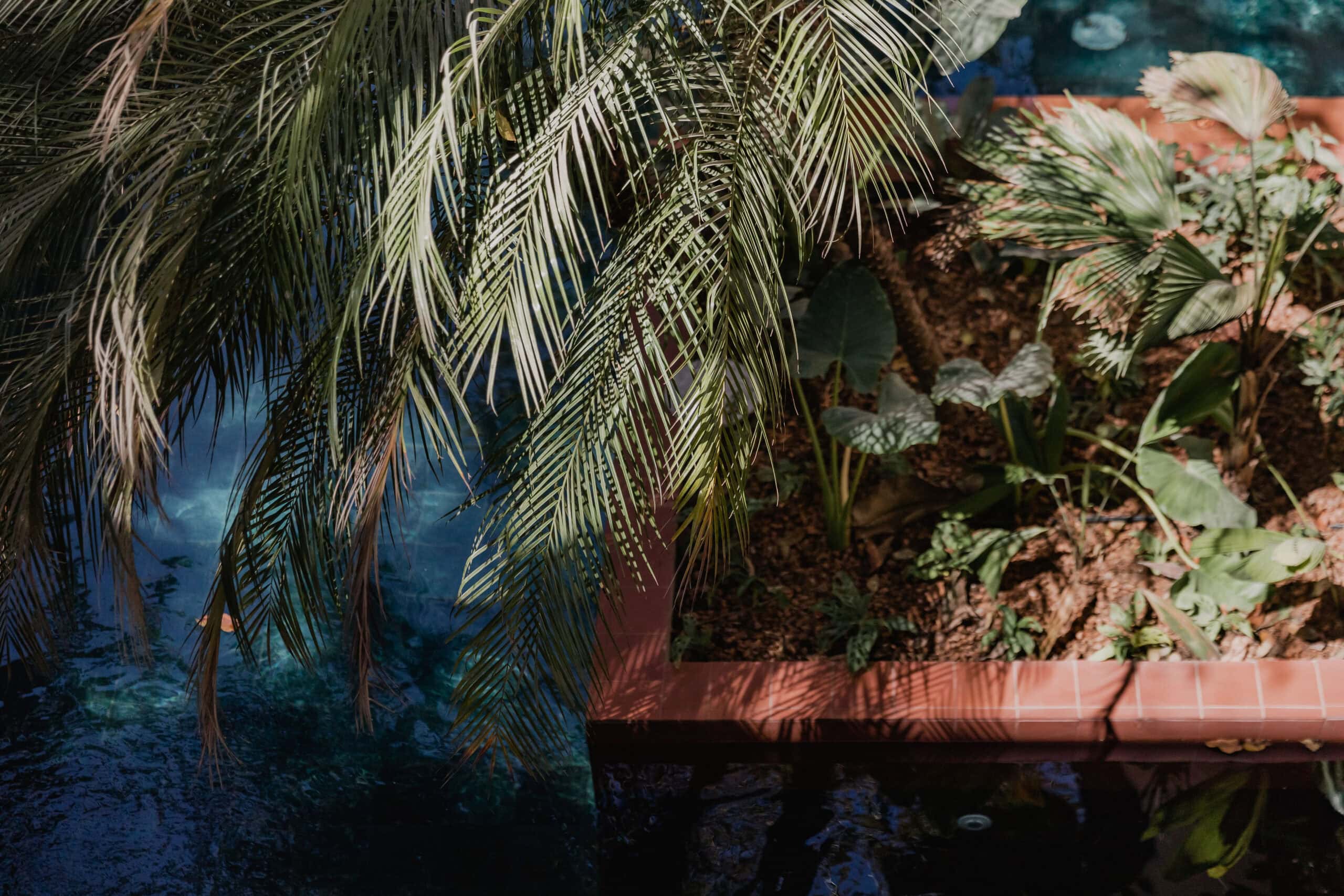 Is April a Good Time to Visit Nosara?